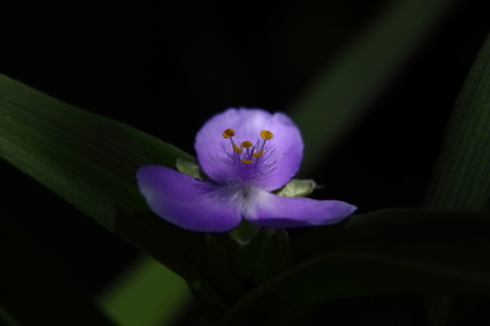 2012 05 20 3640